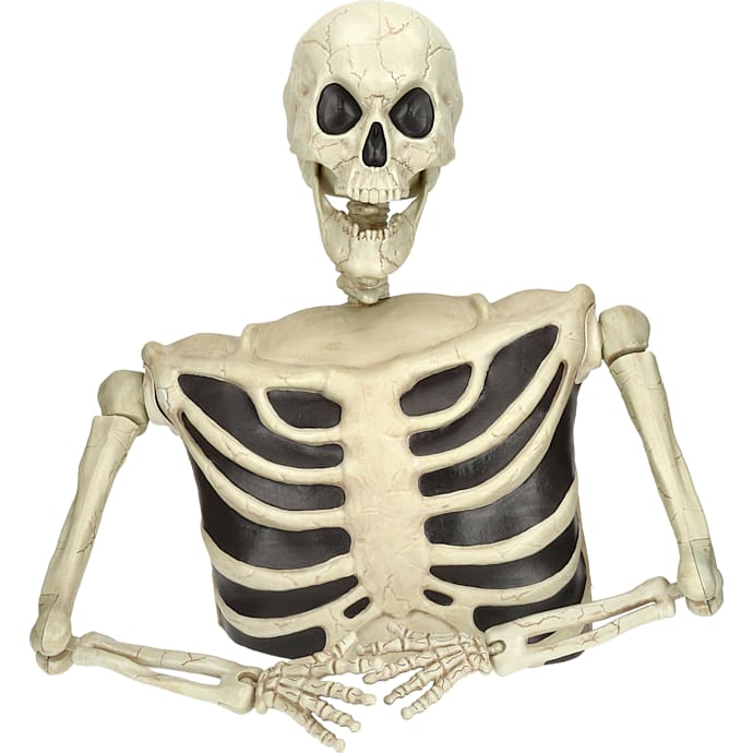 Halloween skelet fra graven H: 96 cm