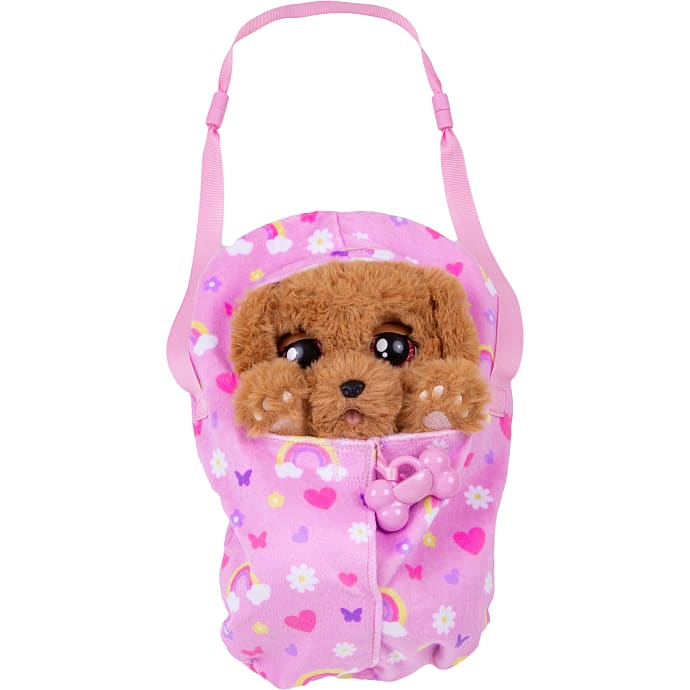 Baby Paws Cocker Spaniel