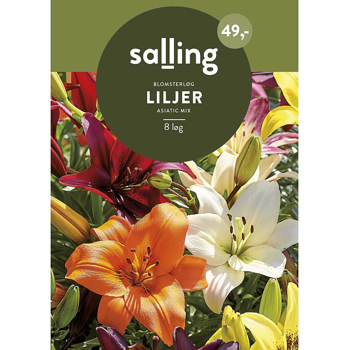 Salling Blomsterløg Liljer Asiatic Mix