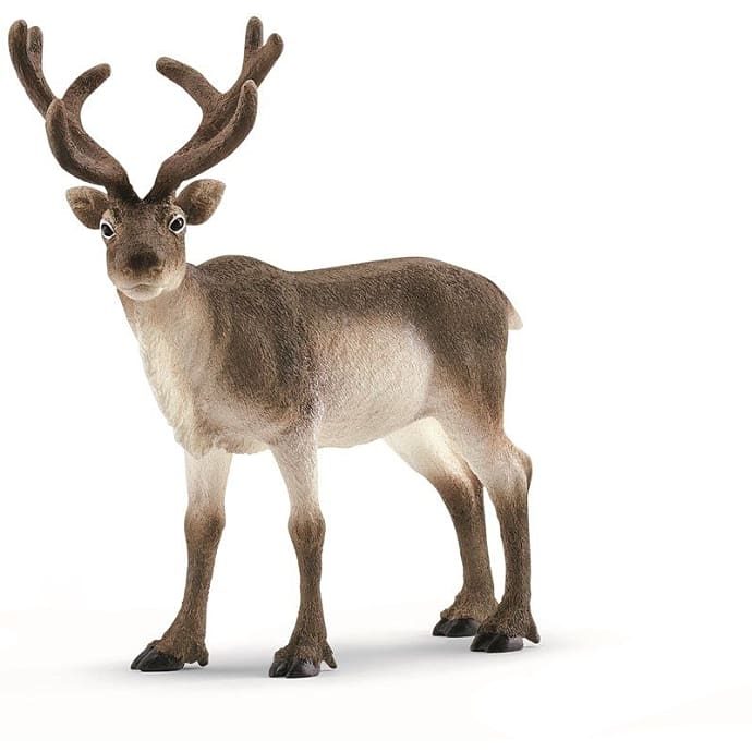 Schleich rensdyr