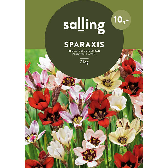 Salling Blomsterløg Sparaxis