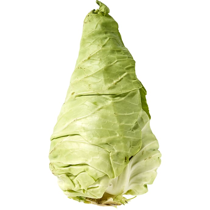Spidskål