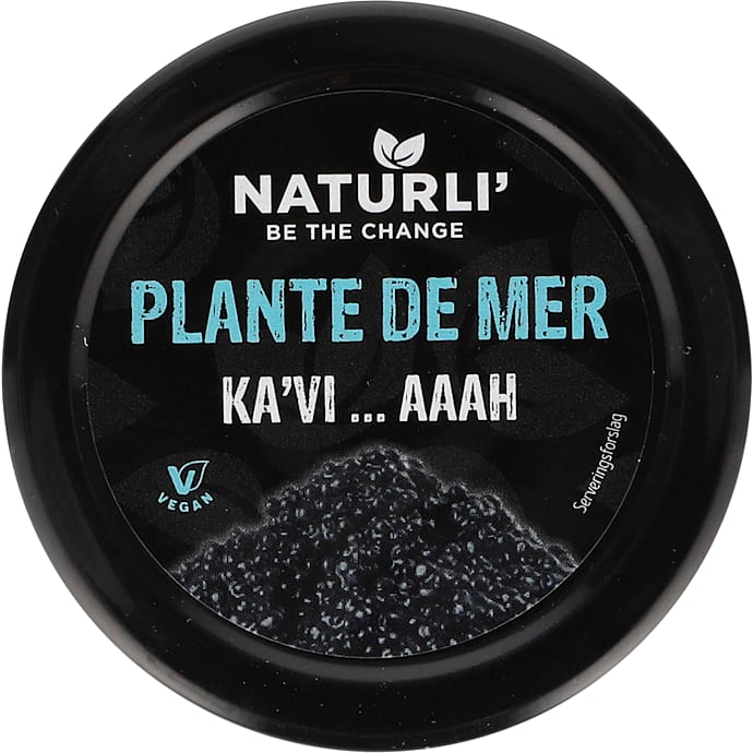 Plantebaseret pålæg