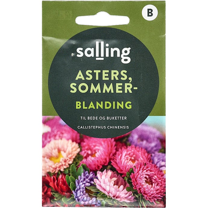 Salling Sommerasters Callistephus Chinensis Mix