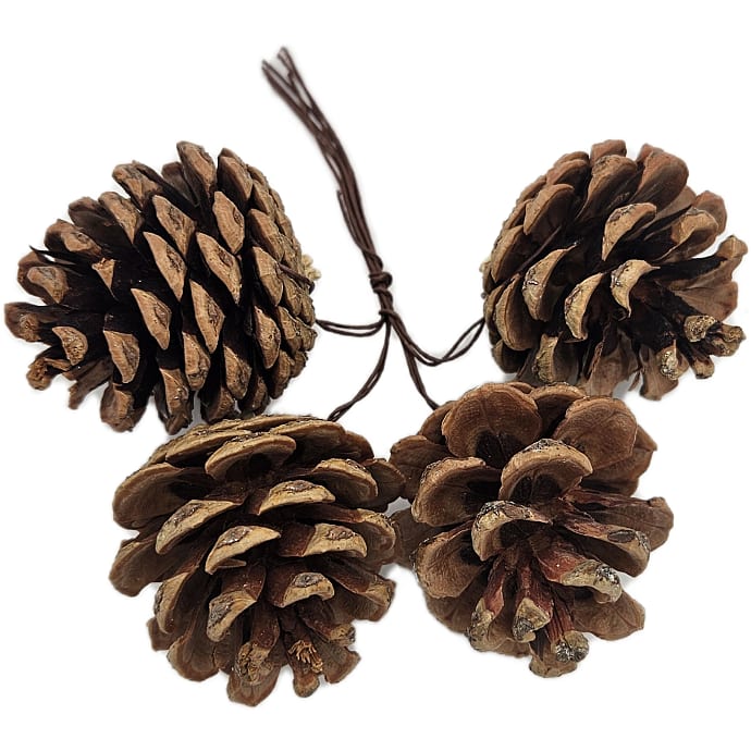 Små kogler på stilk 4-pak - Flere varianter - assorteret