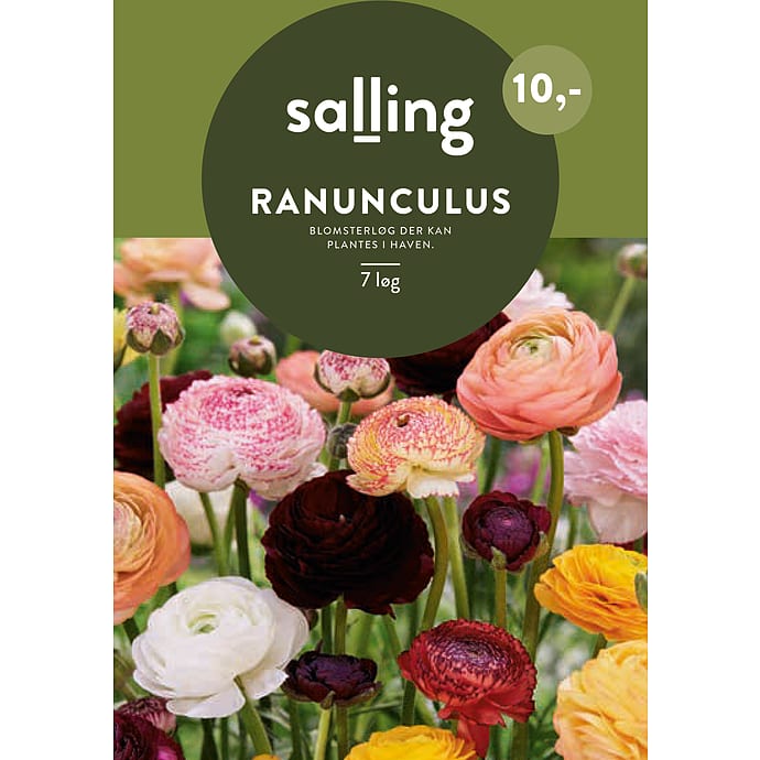Salling blomsterløg Ranunculus