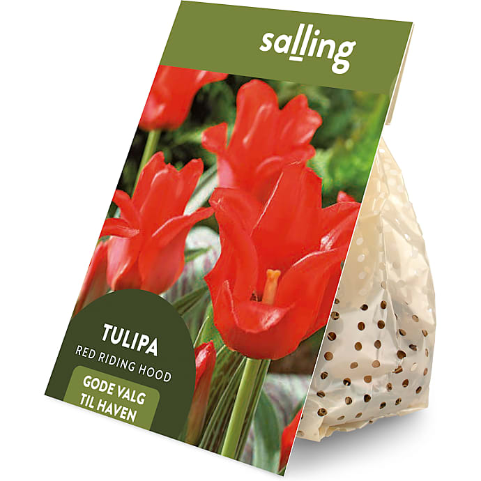 Salling blomsterløg Tulipaner Red Riding Hood 7 løg