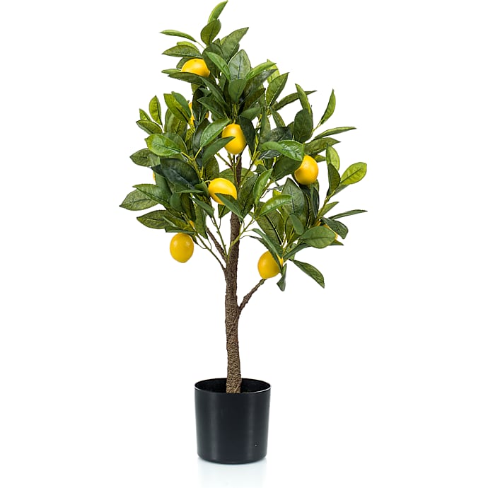 Kunstig citrontræ i potte