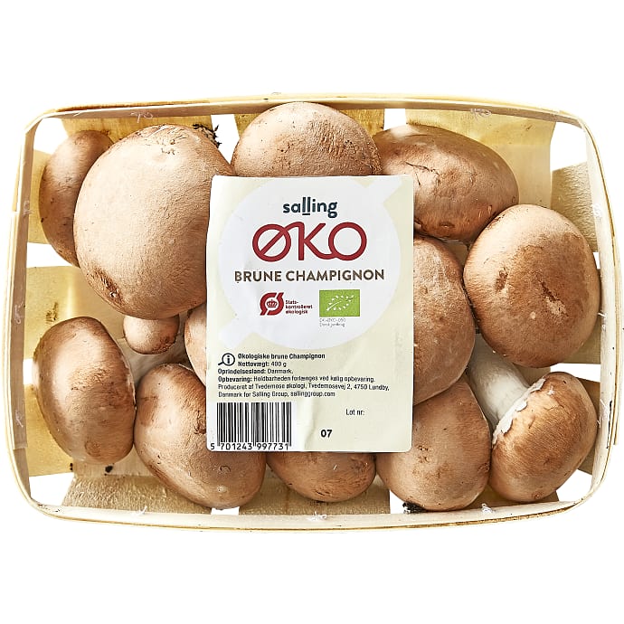 Salling ØKO Brune Champignon