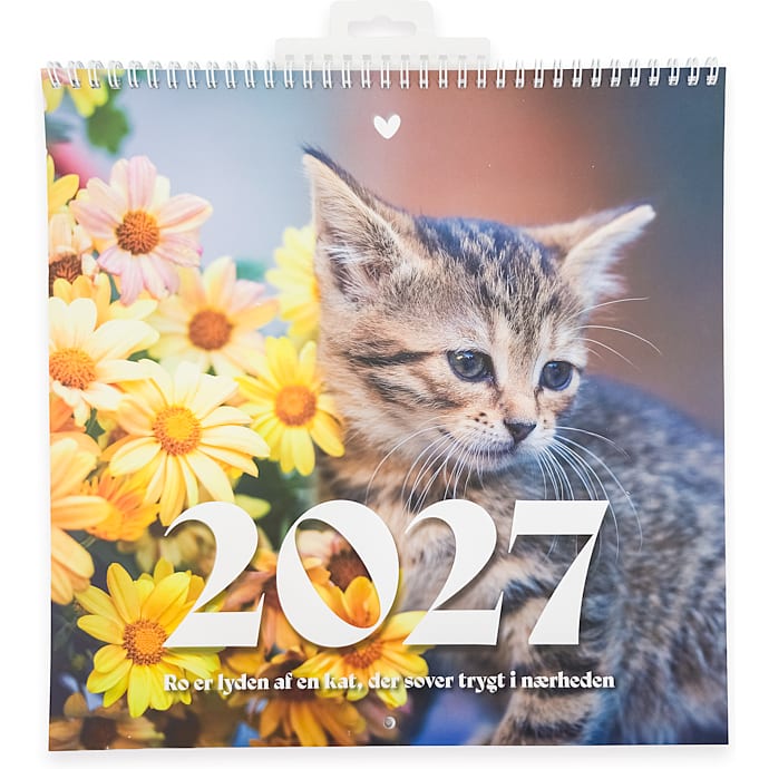Kalender 2027 - Katte