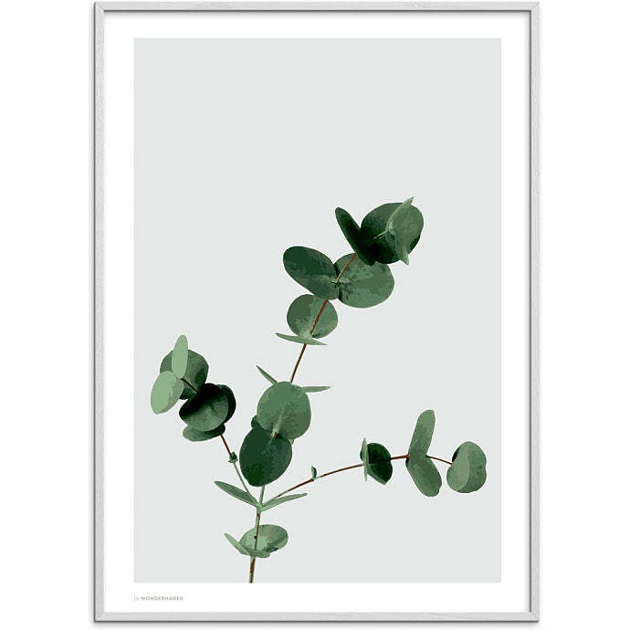Citatplakat Eucalyptus
