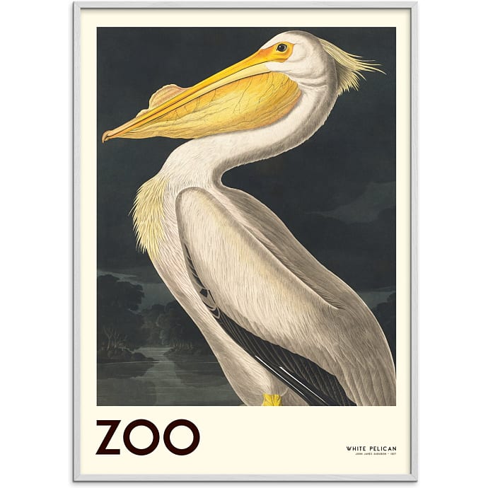 Citatplakat The Zoo Collection Pelican