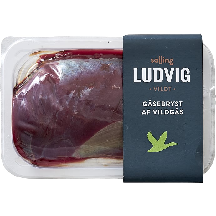 Ludvig Gåsebryst