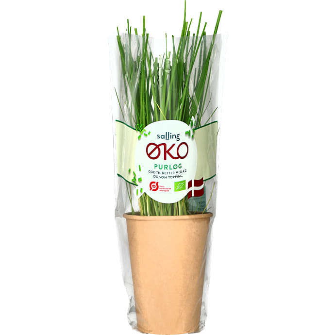Purløg øko