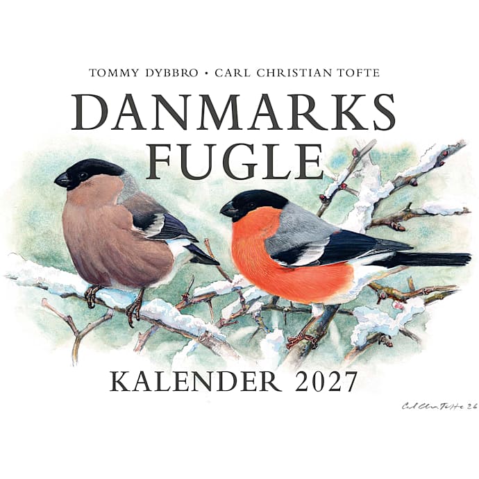 Politiken danmarks fugle kalender 2027