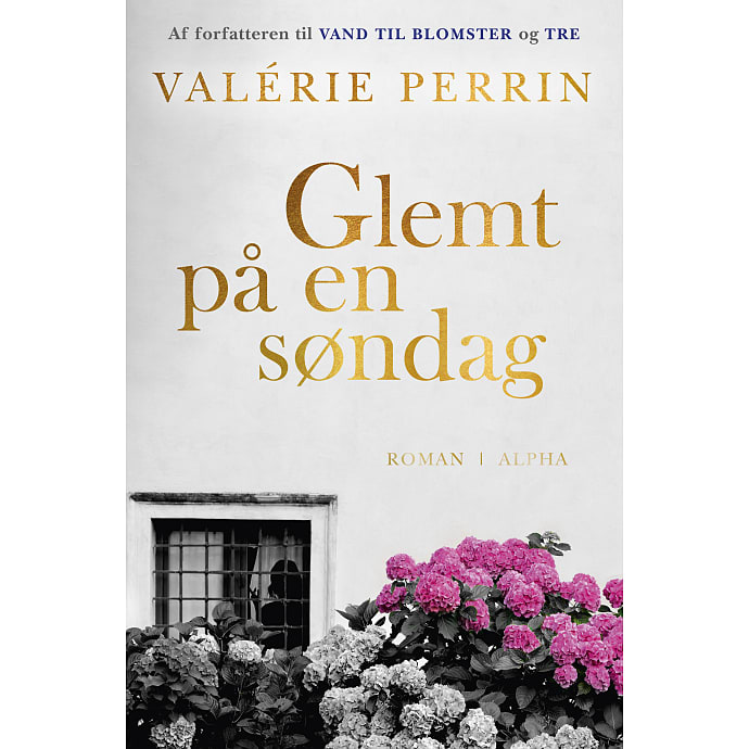 alpha Glemt på en søndag - Valérie Perrin