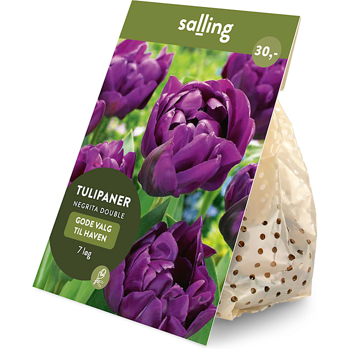 Salling blomsterløg Tulipaner Negrita Double 7 løg