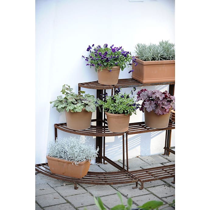 Claus Dalby plantereol midtersektion rust