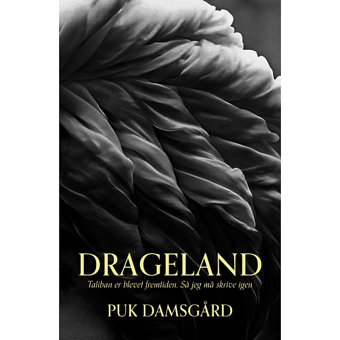 Politikens Forlag Drageland