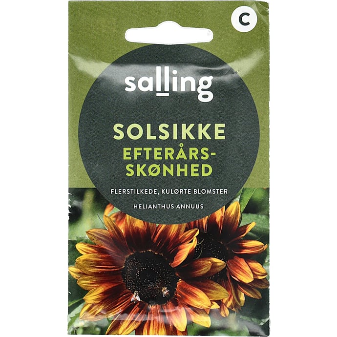 Salling Solsikke Efterårsskønhed