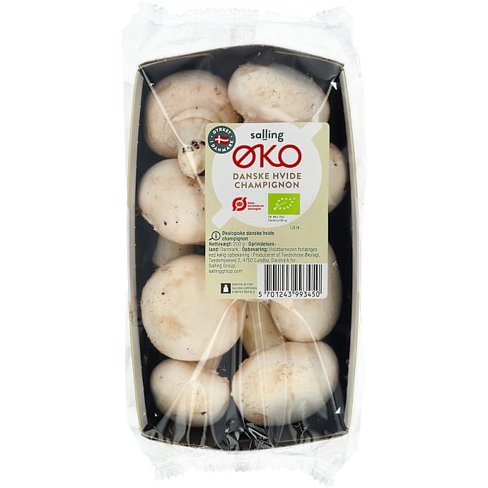 Hvide champignon øko