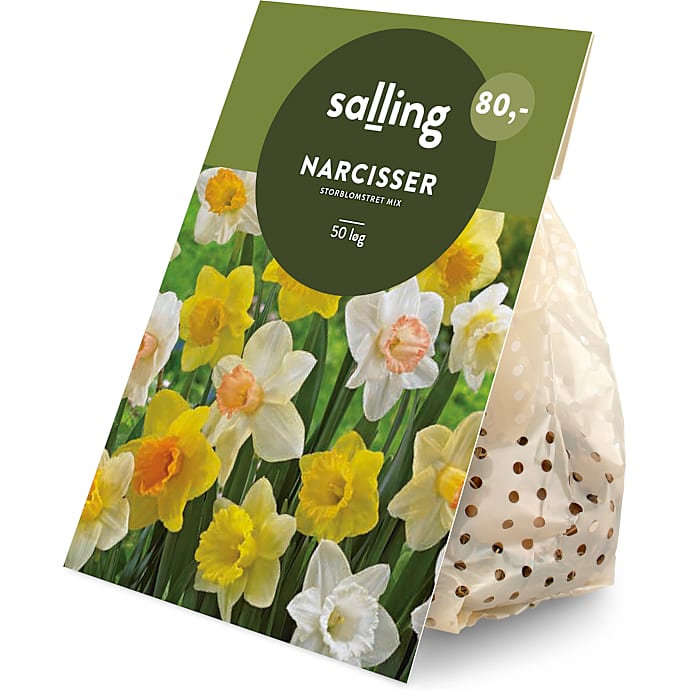 Salling Blomsterløg Påskelilje mix 50 løg