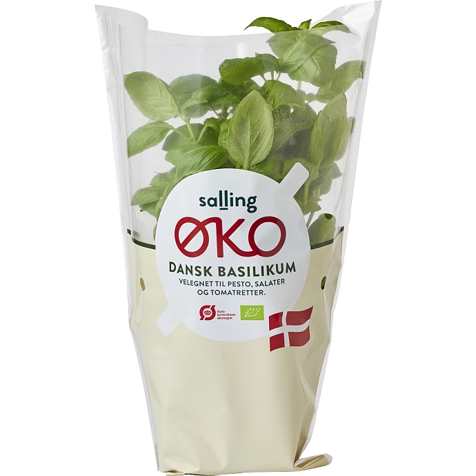 Salling ØKO Basilikum