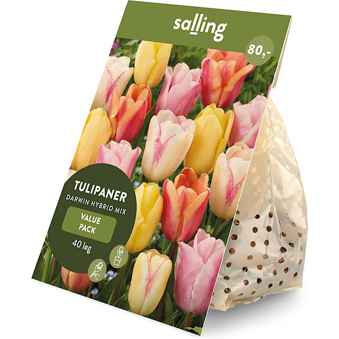 Salling blomsterløg Tulipaner Darwin Hybrid Pastel mix 40 løg