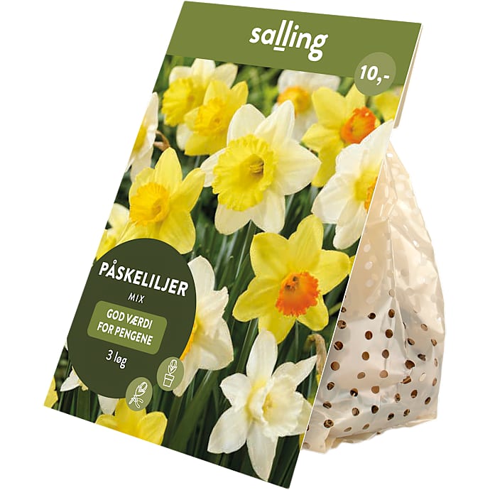 Salling blomsterløg Påskeliljer mix 3 løg