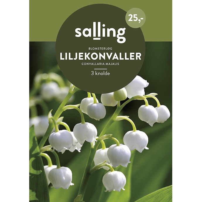 Salling Liljekonvaller blomsterløg