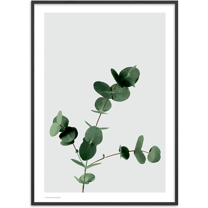 Citatplakat Eucalyptus
