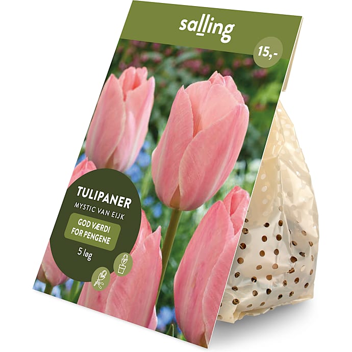 Salling blomsterløg Tulipaner Mystic Van Eijk 5 løg
