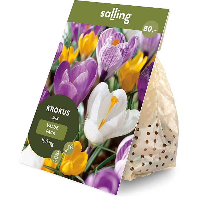 Salling blomsterløg Krokus mix 100 løg