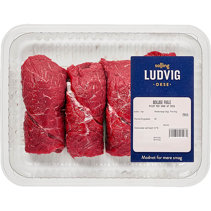 Ludvig Benløse Fugle