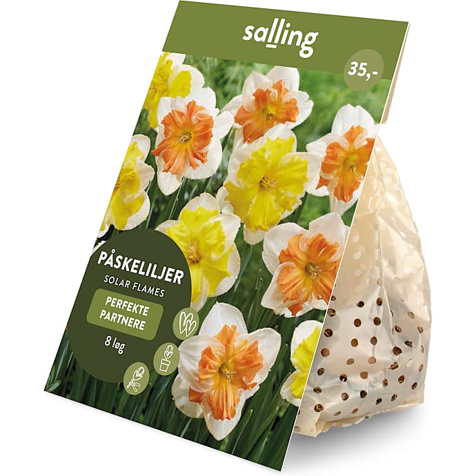 Salling blomsterløg Påskeliljer Solar Flames 8 løg