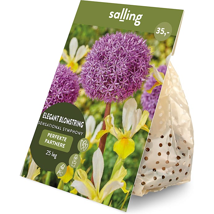 Salling blomsterløg Prydløg/Iris Sensational Symphony 25 løg