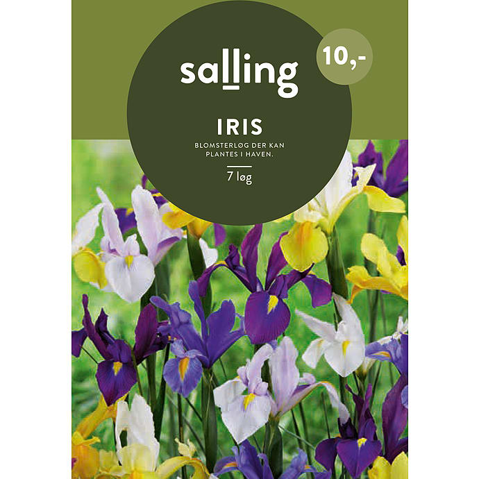 Salling Blomsterløg Iris