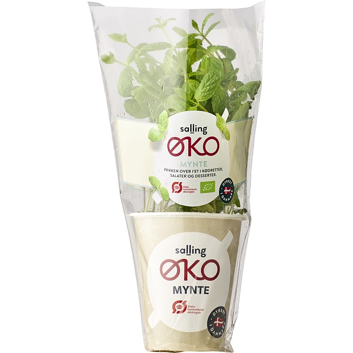 Salling ØKO Mynte økologisk