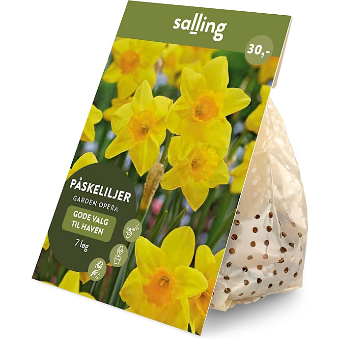 Salling blomsterløg Påskeliljer, Garden Opera 7 løg