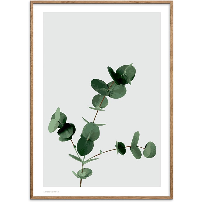 Citatplakat Eucalyptus