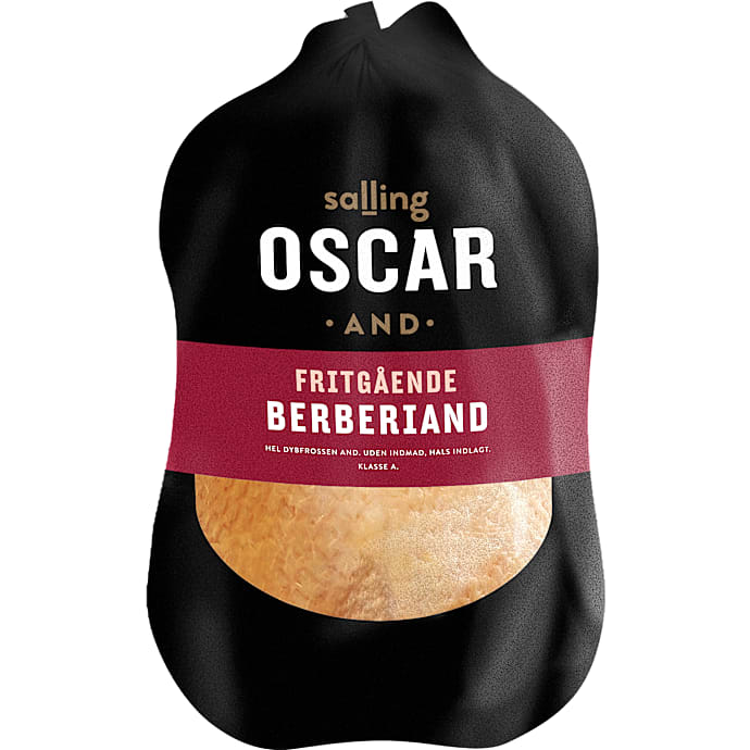 Fritgående fransk berberieand, frossen