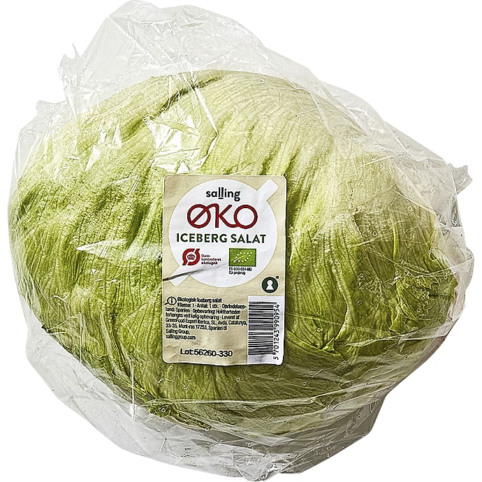 Salling ØKO Icebergsalat Økologisk