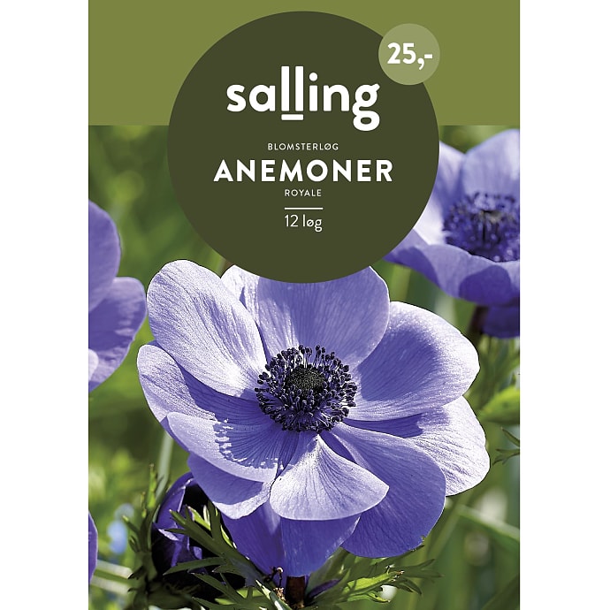 Salling Blomsterløg Anemoner Coronaria Royale