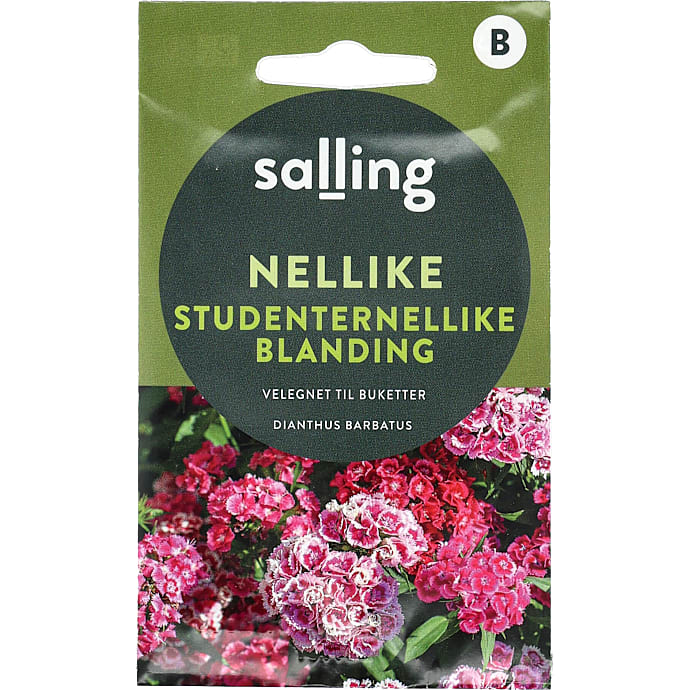 Salling Nellike Studenternellikeblanding