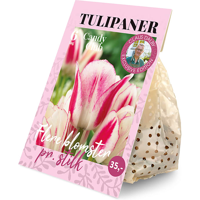 Claus Dalby Tulipaner Candy Club 6 løg