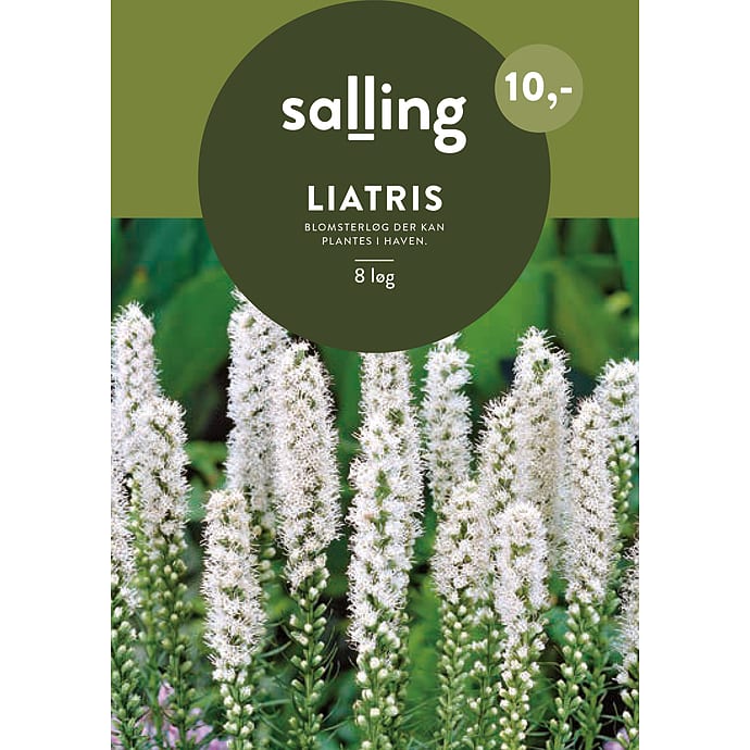 Salling Blomsterløg Liatris