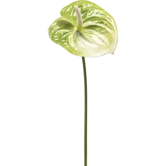 Anthurium grøn kunstig blomsterstilk