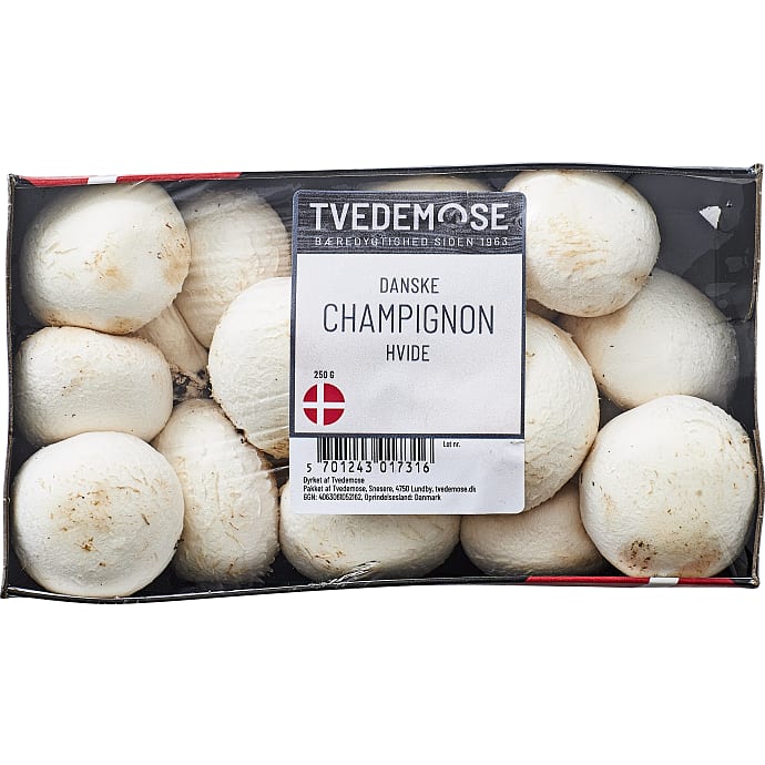 Hvide champignon