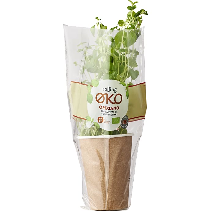 Salling ØKO Oregano