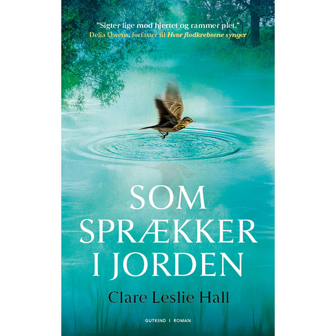 Som sprækker i jorden - Clare Leslie Hall